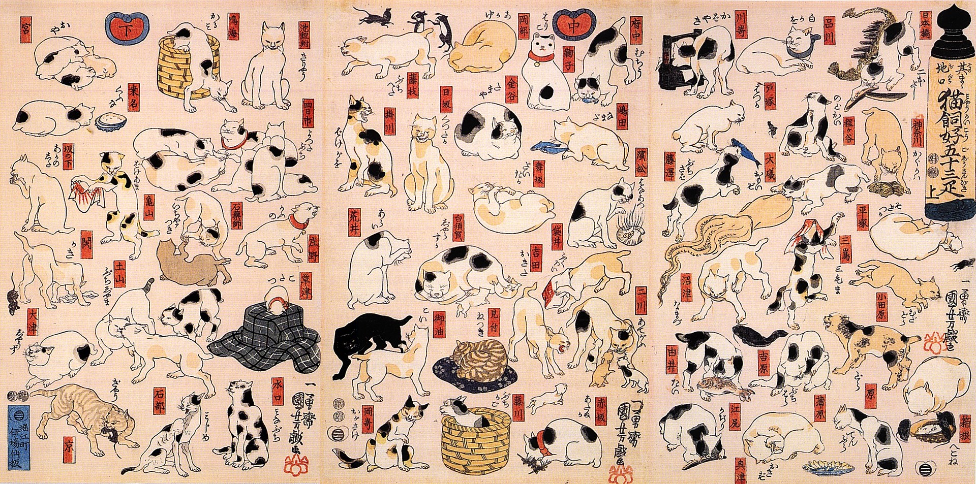 日本浮世繪 x 貓 